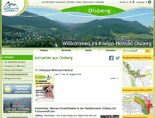 Tablet Screenshot of olsberg.de